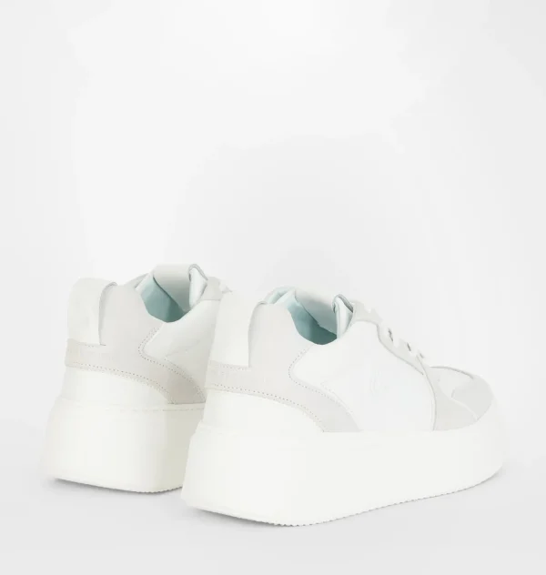 Chiara Ferragni Brand CF SCHOOL | Sneakers