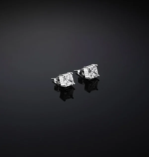 Chiara Ferragni Brand CLASSIC BIG EARRINGS | Earrings