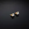 Chiara Ferragni Brand CLASSIC BIG EARRINGS | Earrings