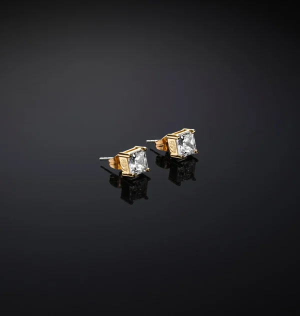 Chiara Ferragni Brand CLASSIC BIG EARRINGS | Earrings