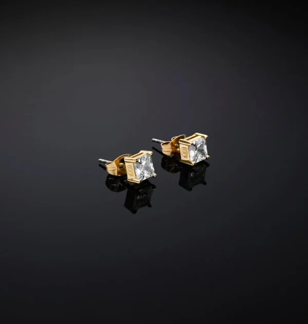 Chiara Ferragni Brand CLASSIC EARRINGS | Earrings