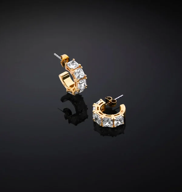 Chiara Ferragni Brand CLASSIC HOOP EARRINGS | Earrings