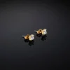 Chiara Ferragni Brand CLASSIC SMALL EARRINGS | Earrings