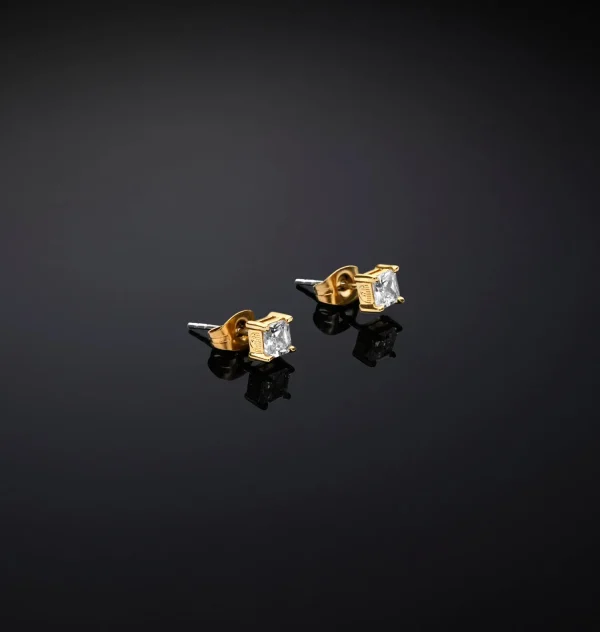 Chiara Ferragni Brand CLASSIC SMALL EARRINGS | Earrings