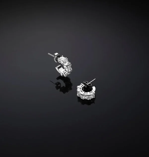 Chiara Ferragni Brand CLASSIC SMALL HOOP EARRINGS | Earrings
