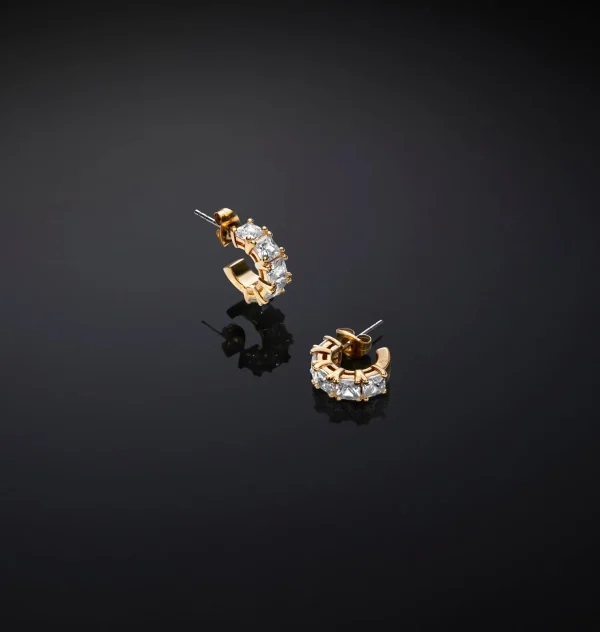 Chiara Ferragni Brand CLASSIC SMALL HOOP EARRINGS | Earrings
