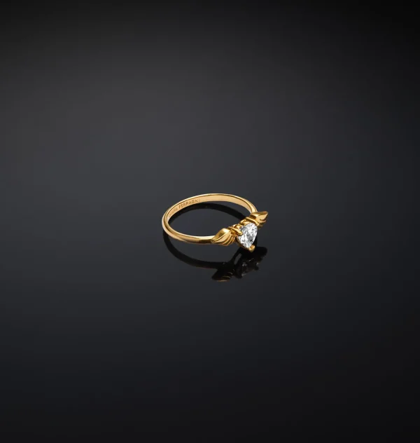 Chiara Ferragni Brand CUPIDO RING | Rings