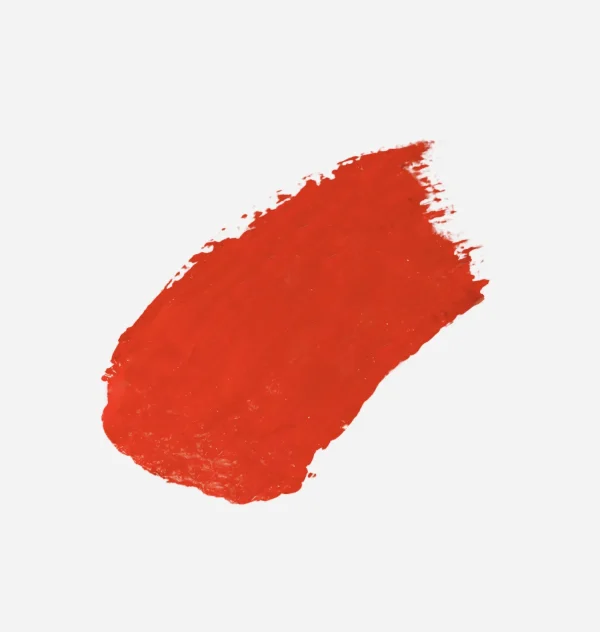 Chiara Ferragni Brand LIPSTICK - KISS FIERCELY 11 | Lips